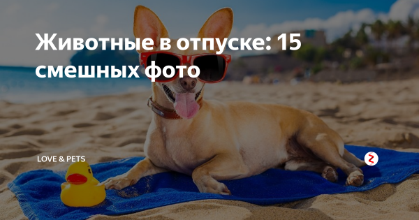 В отпуске картинки прикольные завидуйте