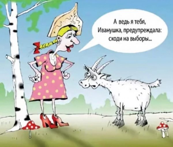 Голосование прикол