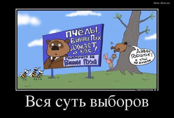 Выборы демотиваторы