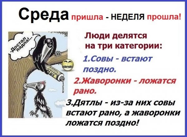 Высказывания про среду смешные