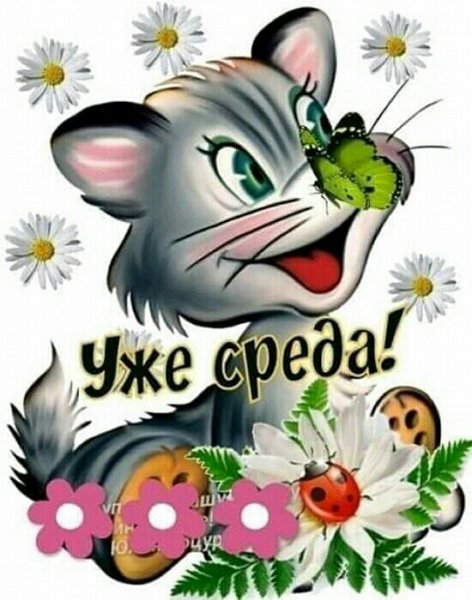 Пожелания на среду