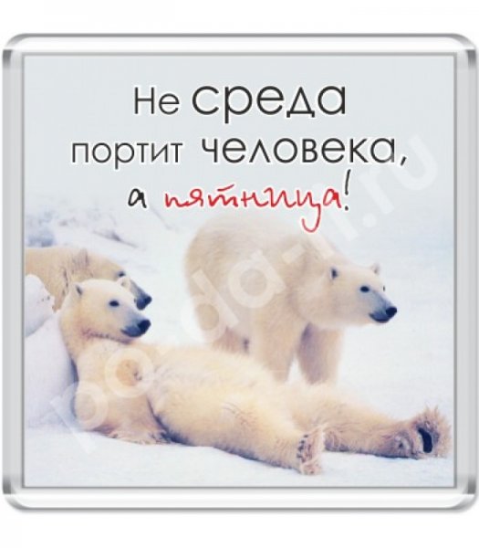 Открытки со средой прикольные
