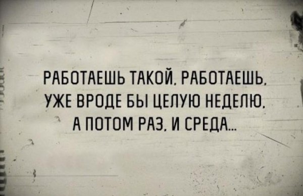 Афоризмы про среду