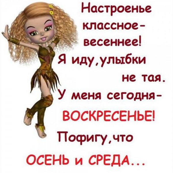 Афоризмы про среду смешные