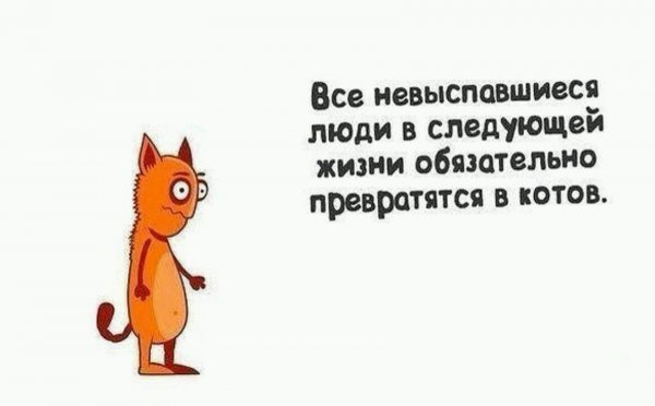 Прикольные высказывания про среду