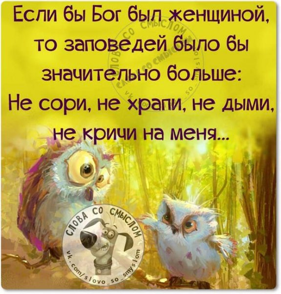 Цитаты про среду