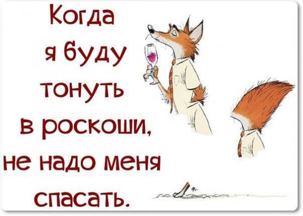 Высказывания про среду смешные