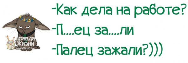 Как дела на работе палец