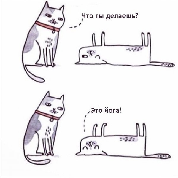 Прикольные цитаты про йогу
