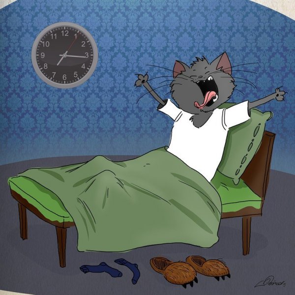 Картин с добрым утром смешные