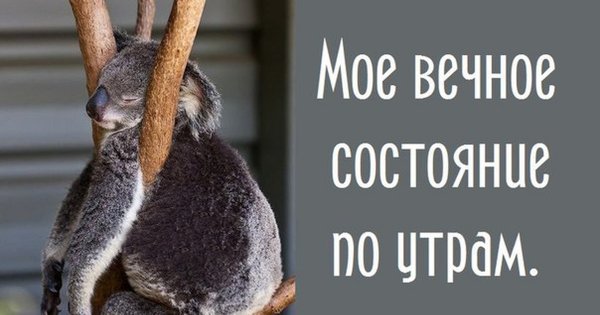 Смешные картинки про утро