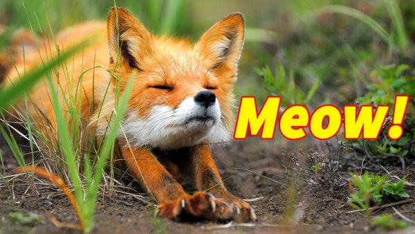 С добрым утром прикол