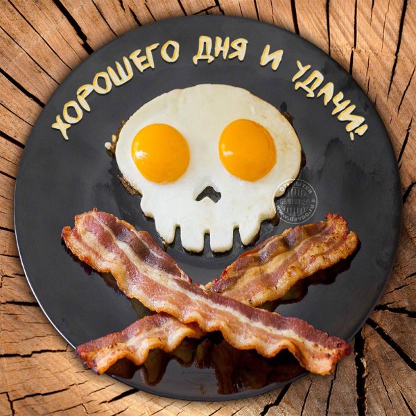 Смешные рисунки с котами