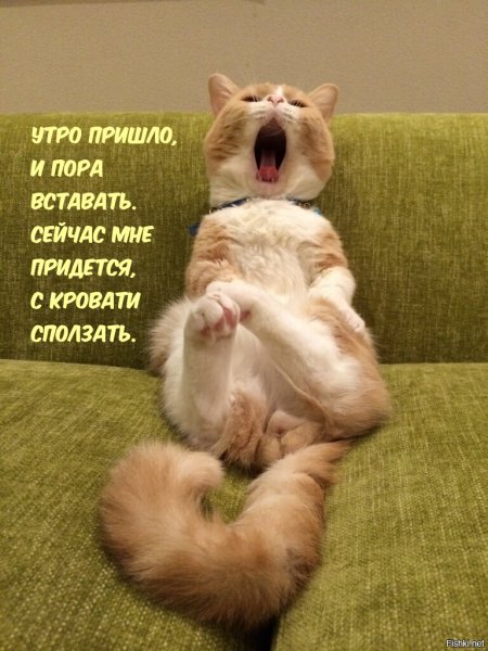 Я проснулась с добрым утром