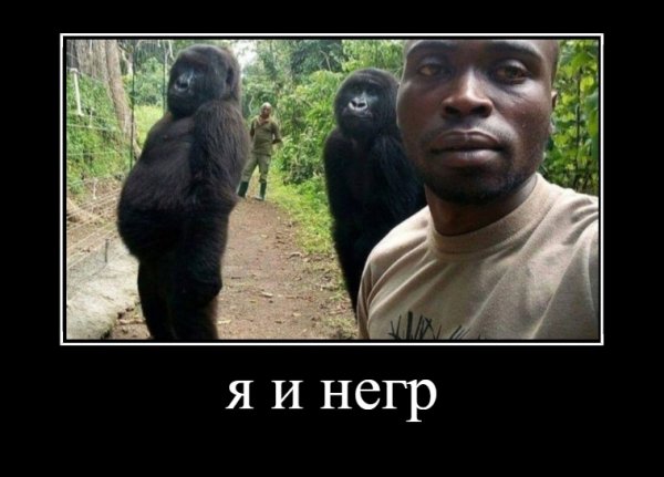 Нигер с улыбкой