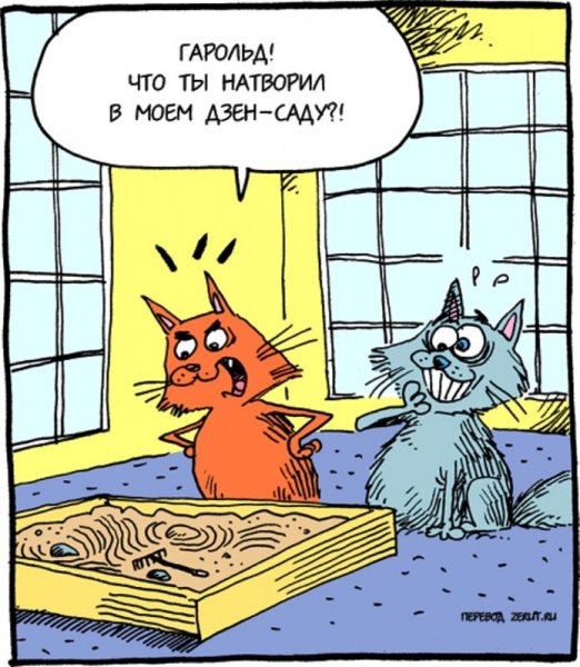 Дзен шутки