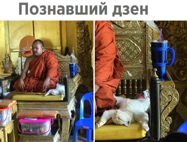 Постиг дзен