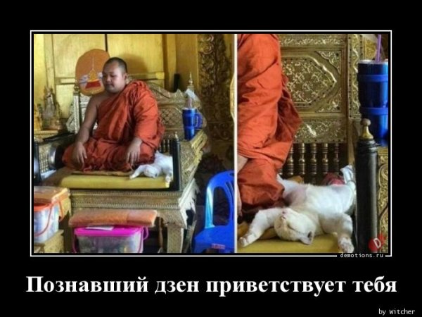 Познал дзен