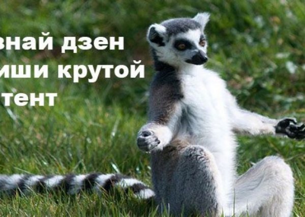 Познание дзен