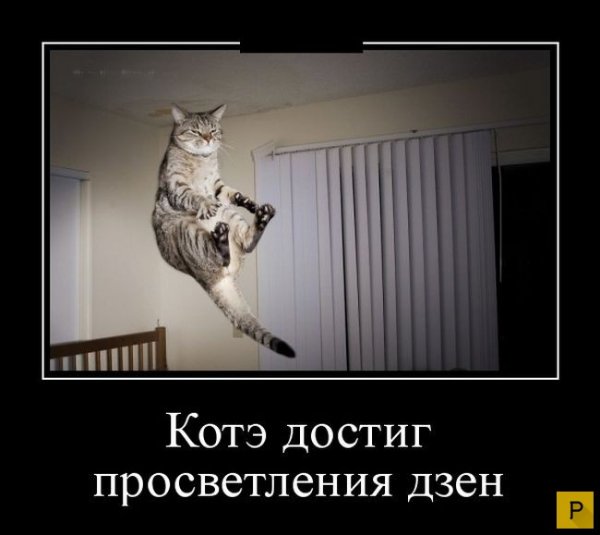 Дзен демотиваторы смешные