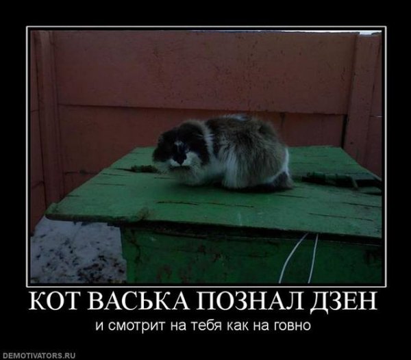 Познал дзен приколы