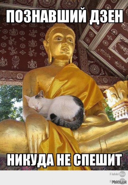 Я познал дзен