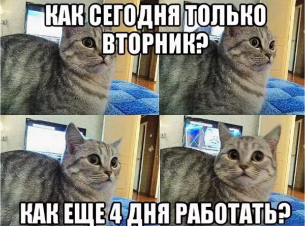 Только вторник