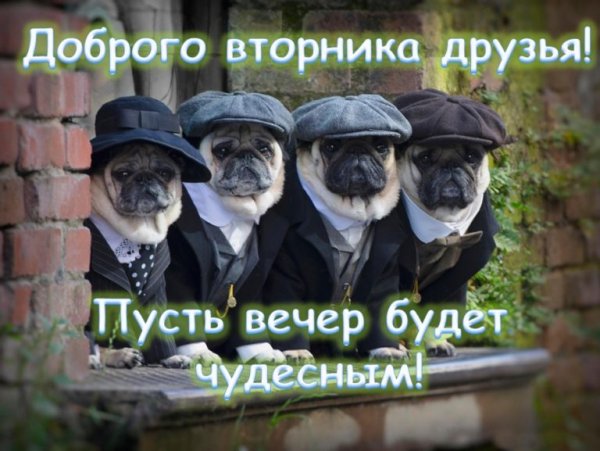 Добрый вечер вторника