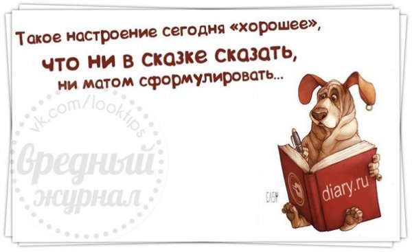 Фразы про вторник смешные