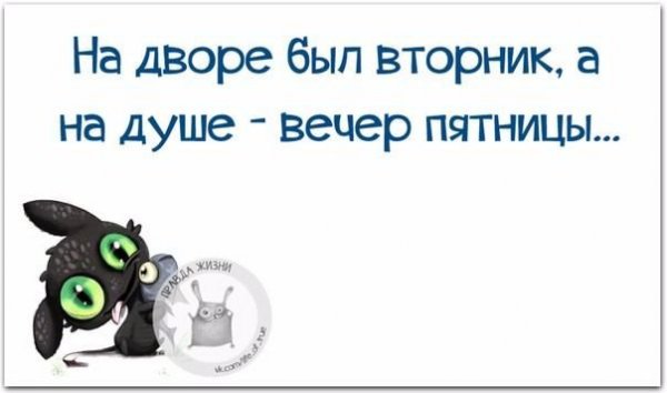 Шутки про вторник