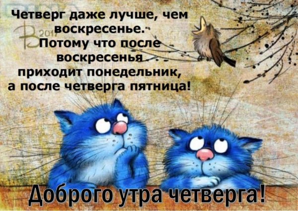 Художник Ирина Зенюк синие коты