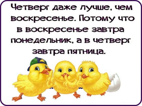 Смешные фразы про четверг