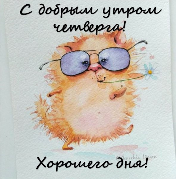 Хорошего дня смешные