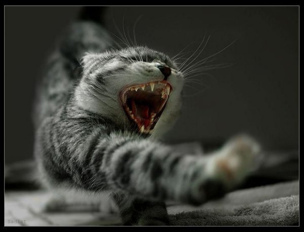 Четверг демотиватор