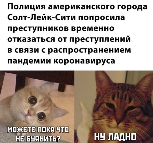 Позитивчики в картинках для поднятия настроения