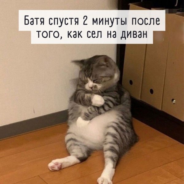 Девушки в смешных ситуациях