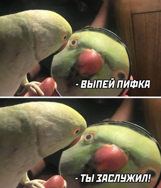 Юмор фото приколы