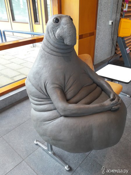 Ждун отпуск