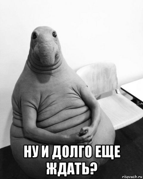 Ждун Игорь