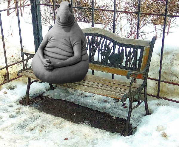 Белёк жрун