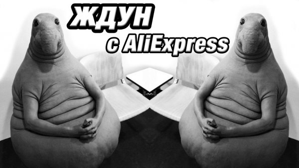 Самый смешной Ждун