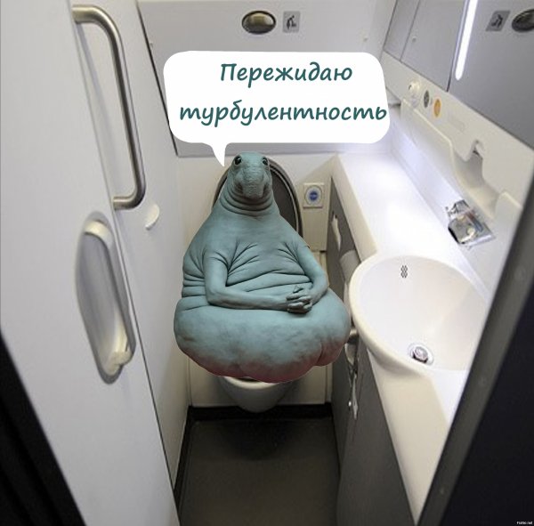Ждун жду
