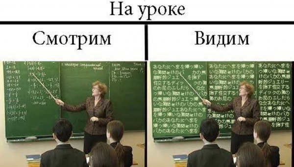 Шутки про учебу в школе