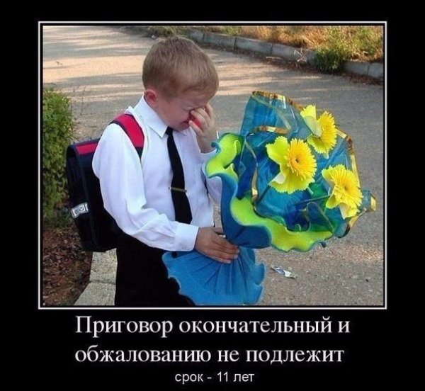 1 Сентября приколы