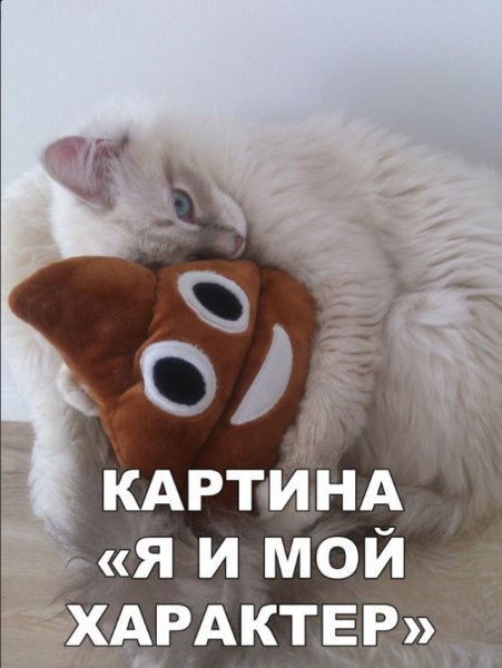 Приколы про характер
