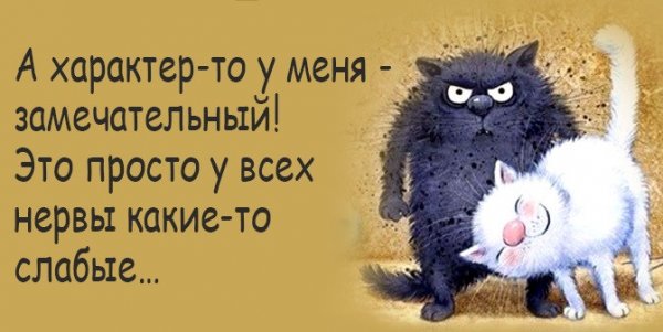 А характер то у меня замечательный