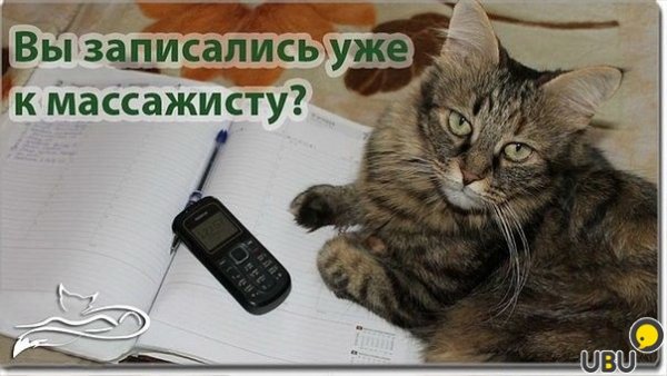Массаж прикол