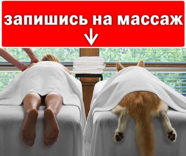 Массаж картинки смешные
