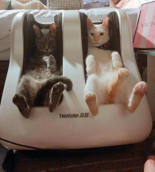 Смешной массаж