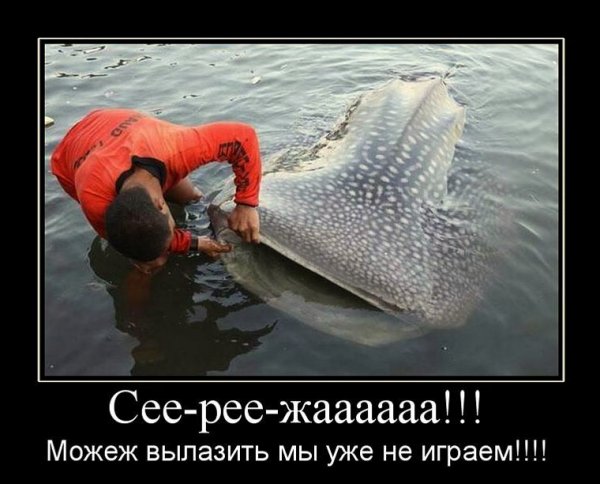 Шутки про рыбаков